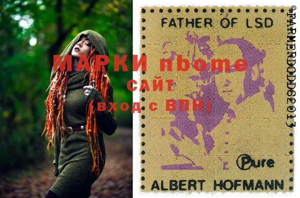 МДПВ Протвино
